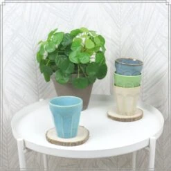 OTIX Cappuccino Kopjes 4 Stuks 250 Ml Porselein Hittebestendig Keuken -Tafel Benodigdheden Winkel 1000033200 0111