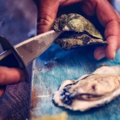 Orange85 Oestermes Met Siliconen Hulpmiddel Zwart En Blauw Oesters Openen -Tafel Benodigdheden Winkel 1000069721 0111