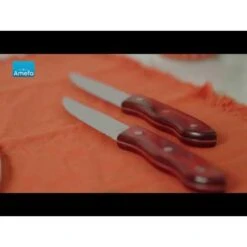 Amefa Hercule - 4 Steakmessen - Mahogany Red -Tafel Benodigdheden Winkel 1000088805 0103